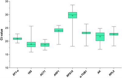 Reliable reference genes for gene expression analyses under the hypomagnetic field in a migratory insect